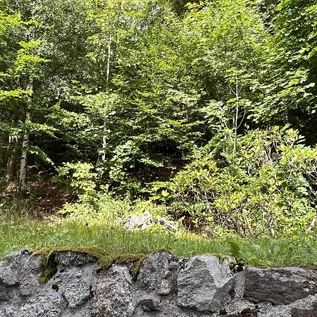 Casa vacanze Lattermann *