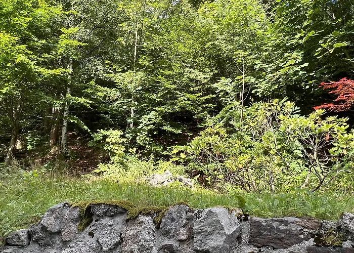 Holiday home Lattermann *